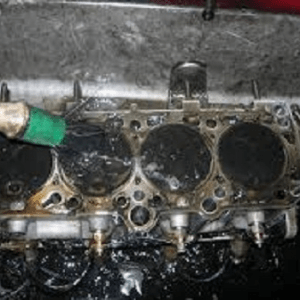 Petroleantes